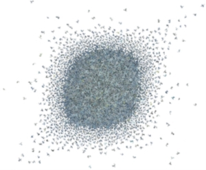 I.P.Y. - Ipy in der Gruppe CD / Pop-Rock bei Bengans Skivbutik AB (3900157)