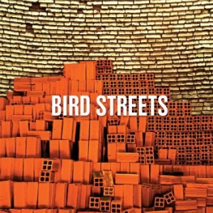 Bird Streets - John Brodeur/Jason Falkner in der Gruppe CD / Pop-Rock bei Bengans Skivbutik AB (3900431)