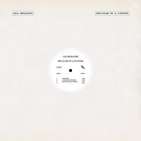 Roxanne Ana - Because Of A Flower in der Gruppe UNSERE TIPPS / Tipps von Bengans Mitarbeitern / Tonka's Playlist For Now bei Bengans Skivbutik AB (3901187)