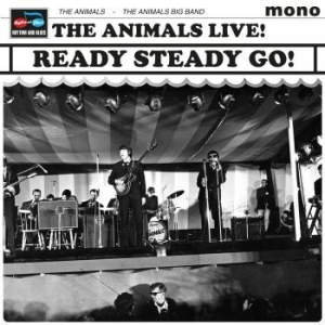 Animals - Ready Steady Go! in der Gruppe Minishops / Animals bei Bengans Skivbutik AB (3902001)
