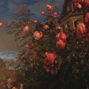 Bence John - Love in der Gruppe VINYL / Pop-Rock bei Bengans Skivbutik AB (3902048)