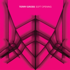 Gross Terry - Soft Opening in der Gruppe VINYL / Pop-Rock bei Bengans Skivbutik AB (3902049)