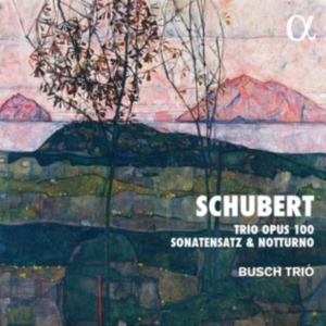 Schubert Franz - Trio, Op. 100 Sonatensatz Notturn in der Gruppe Externt_Lager / Naxoslager bei Bengans Skivbutik AB (3903495)