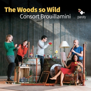 Consort Brouillamini - Woods So Wild in der Gruppe CD bei Bengans Skivbutik AB (3904824)