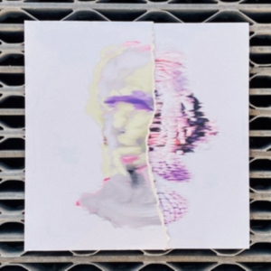 Denial Of Service - False Postives (Handmade Sleeve) in der Gruppe VINYL / Pop-Rock bei Bengans Skivbutik AB (3905162)