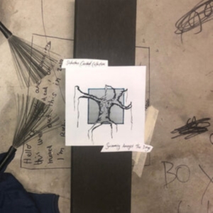 Suburban Cracked Collective - Swimming Amongst The Dregs in der Gruppe VINYL / Pop-Rock bei Bengans Skivbutik AB (3905164)