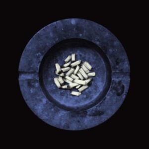 Laura Jane Grace - Stay Alive in der Gruppe Labels / Woah Dad / Dold_tillfall bei Bengans Skivbutik AB (3905178)