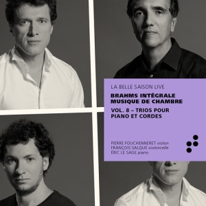 Brahms Johannes - Intégrale Musique De Chambre, Vol. in der Gruppe Externt_Lager / Naxoslager bei Bengans Skivbutik AB (3907435)