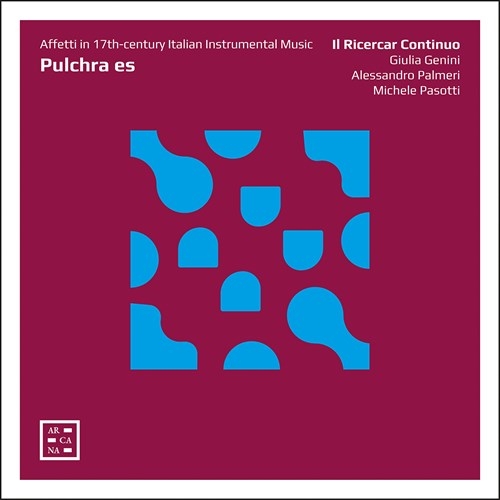 Various - Pulchra Es - Affetti In 17Th Centur in der Gruppe Externt_Lager / Naxoslager bei Bengans Skivbutik AB (3907439)