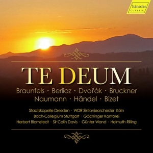 Various - Te Deum (4Cd) in der Gruppe CD / Klassiskt bei Bengans Skivbutik AB (3910168)