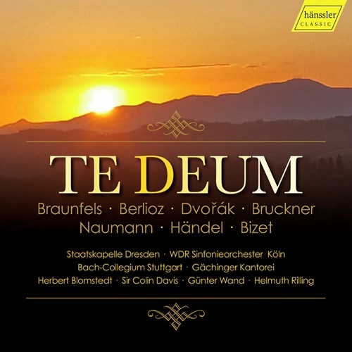 Various - Te Deum (4Cd) in der Gruppe CD / Klassiskt bei Bengans Skivbutik AB (3910168)