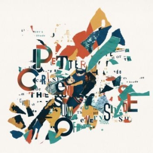 Carlsen Petter - Sum Of Every Shade in der Gruppe VINYL / Pop bei Bengans Skivbutik AB (3910649)