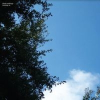 Cloud Nothings - Turning On in der Gruppe VINYL / Hårdrock,Pop-Rock bei Bengans Skivbutik AB (3910702)