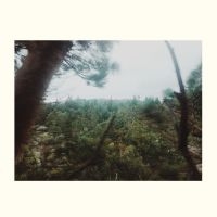 The Echo Field - The Echo Field Ep in der Gruppe VINYL / Pop-Rock bei Bengans Skivbutik AB (3914921)