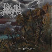 Lie In Ruins - Floating In Timeless Streams in der Gruppe CD / Hårdrock bei Bengans Skivbutik AB (3914939)