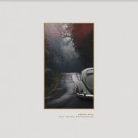 Bug Steve - Never Ending Winding Roads in der Gruppe VINYL bei Bengans Skivbutik AB (3915305)