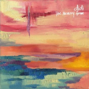 Didi - Like Memory Foam in der Gruppe CD / Pop-Rock bei Bengans Skivbutik AB (3917815)