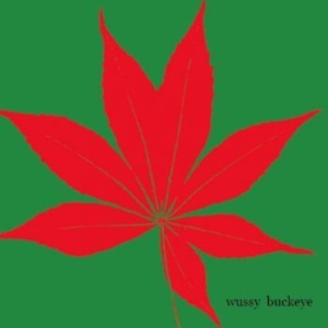 Wussy - Buckeye in der Gruppe CD / Pop-Rock bei Bengans Skivbutik AB (3917820)