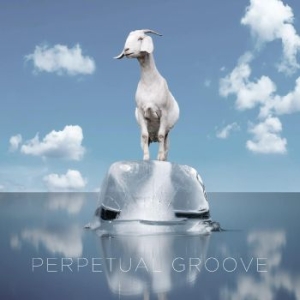 Perpetual Groove - Perpetual Groove in der Gruppe VINYL bei Bengans Skivbutik AB (3918764)