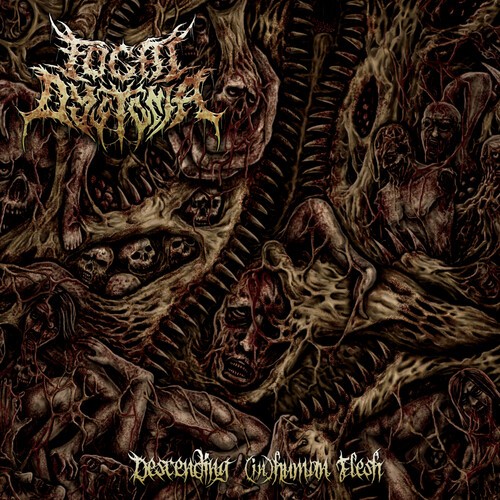 Focal Dystonia - Descending (In)Human Flesh in der Gruppe CD / Hårdrock/ Heavy metal bei Bengans Skivbutik AB (3919505)