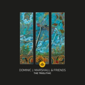 Dominic J. Marshall - Triolithic in der Gruppe CD / Jazz bei Bengans Skivbutik AB (3920918)