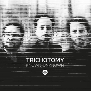 Trichotomy - Known-Unknown in der Gruppe CD / Jazz bei Bengans Skivbutik AB (3921134)