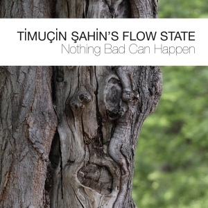 Timucin Sahin's Flow Stat - Nothing Bad Can Happen in der Gruppe CD / Jazz bei Bengans Skivbutik AB (3922394)