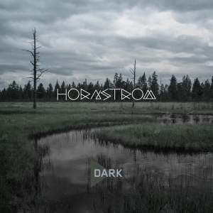 Hornstrom - Dark in der Gruppe CD / Jazz bei Bengans Skivbutik AB (3922395)