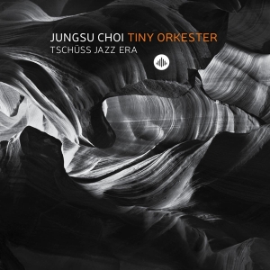 Jungsu -Tiny Orkester- Choi - Tschuss Jazz Era in der Gruppe CD bei Bengans Skivbutik AB (3922941)
