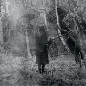 Soul Grip - Not Ever in der Gruppe VINYL / Hårdrock bei Bengans Skivbutik AB (3924312)