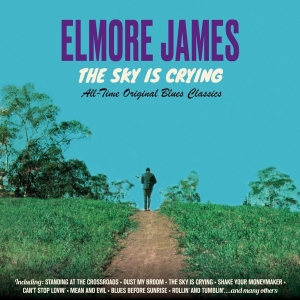 Elmore James - Sky Is Crying in der Gruppe CD / Blues,Jazz bei Bengans Skivbutik AB (3925080)