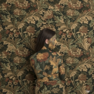 Honeyblood - In Plain Sight -Digi- in der Gruppe Övrigt /  bei Bengans Skivbutik AB (3925334)