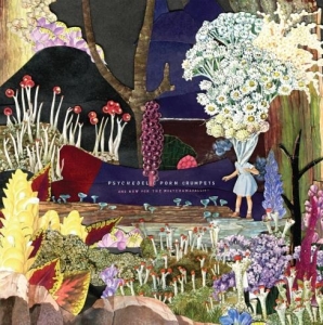 Psychedelic Porn Crumpets - And Now For The Whatchamacallit in der Gruppe CD bei Bengans Skivbutik AB (3925451)