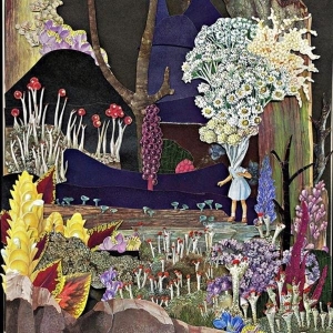 Psychedelic Porn Crumpets - And Now For The Whatchamacallit in der Gruppe VINYL / Pop-Rock bei Bengans Skivbutik AB (3925452)