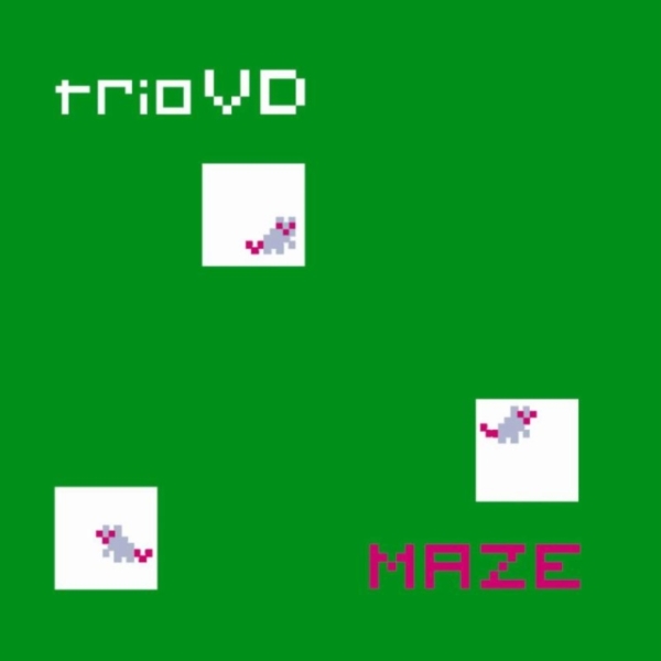 Triovd - Maze in der Gruppe CD / Jazz/Blues bei Bengans Skivbutik AB (3925459)