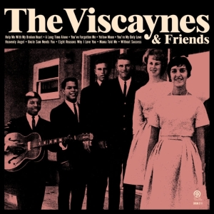 Viscaynes - Viscaynes & Friends in der Gruppe VINYL / Jazz,Pop-Rock,Övrigt bei Bengans Skivbutik AB (3925625)