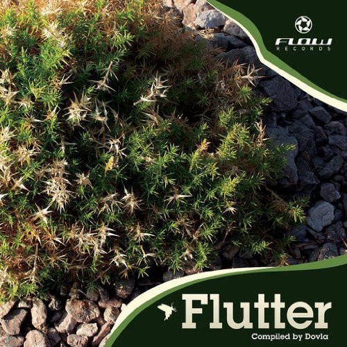 V/A - Flutter in der Gruppe CD / Dans/Techno bei Bengans Skivbutik AB (3925644)