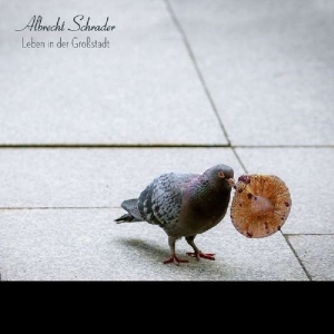 Albrecht Schrader - Leben In Der Grossstadt in der Gruppe VINYL / Pop-Rock,Övrigt bei Bengans Skivbutik AB (3925815)