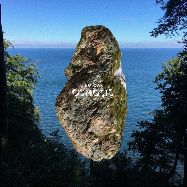 I Am Oak - Osmosis in der Gruppe VINYL / Rock bei Bengans Skivbutik AB (3925924)