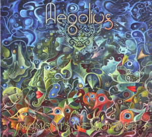Aegolius - Moments Of Wonder in der Gruppe CD bei Bengans Skivbutik AB (3926115)
