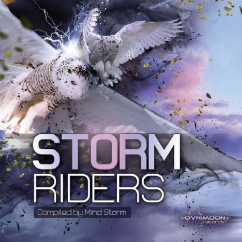 V/A - Storm Riders in der Gruppe CD / Dans/Techno bei Bengans Skivbutik AB (3927165)