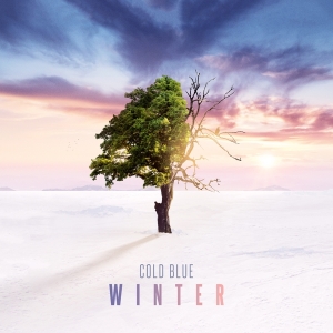 Cold Blue - Winter in der Gruppe CD / bei Bengans Skivbutik AB (3927736)