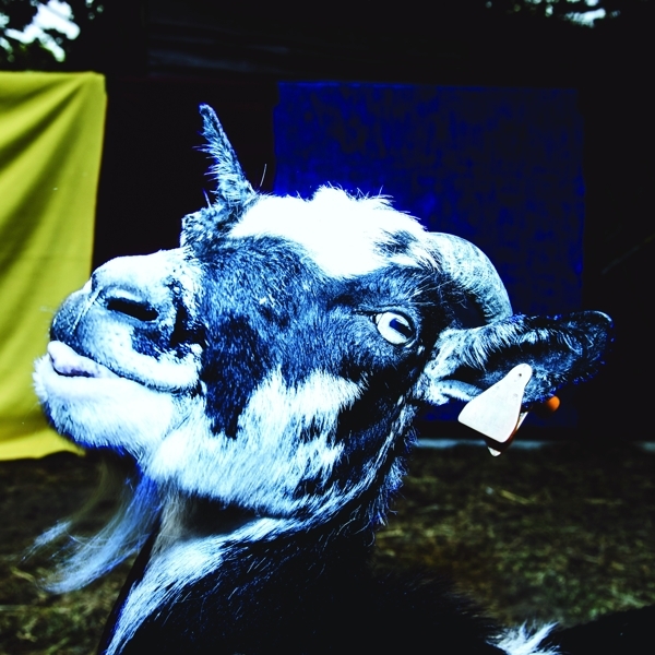 Barely Autumn - Day Trip To The Petting Zoo in der Gruppe VINYL / Bestseller bei Bengans Skivbutik AB (3927885)