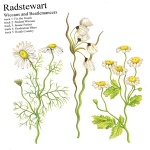 Radstewart - Wiccans & Beatlemancers.. in der Gruppe Övrigt /  bei Bengans Skivbutik AB (3927892)