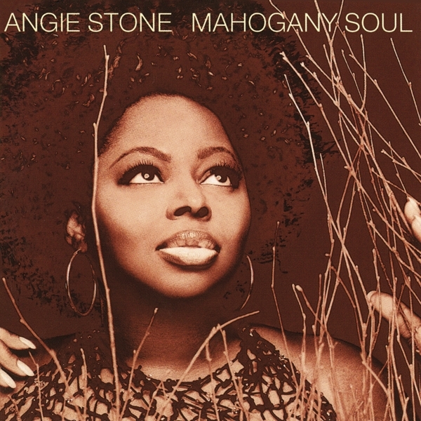 Angie Stone - Mahogany Soul in der Gruppe CD / Pop-Rock bei Bengans Skivbutik AB (3928363)