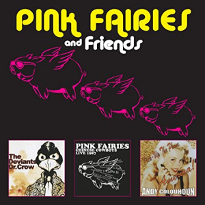 Pink Fairies - Pink Fairies And Friends in der Gruppe CD / Pop-Rock bei Bengans Skivbutik AB (3928409)