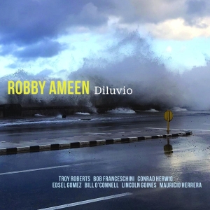 Robby Ameen - Diluvio in der Gruppe CD bei Bengans Skivbutik AB (3928524)