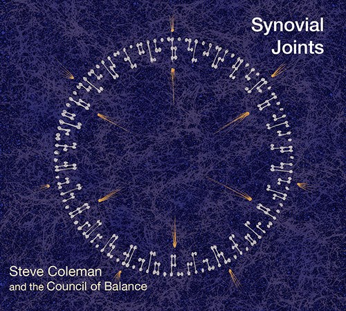 Coleman Steve & The Council Of Balance's - Synovial Joints in der Gruppe CD / Jazz/Blues bei Bengans Skivbutik AB (3928940)