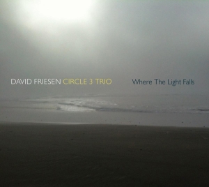 David -Circle 3 Trio- Friesen - Where The Lights Fall in der Gruppe CD / Jazz bei Bengans Skivbutik AB (3929638)