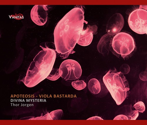 Divina Mysteria - Apoteosis in der Gruppe Övrigt / bei Bengans Skivbutik AB (3929753)